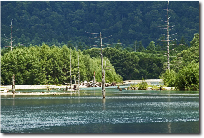 c0159713_20441828.jpg