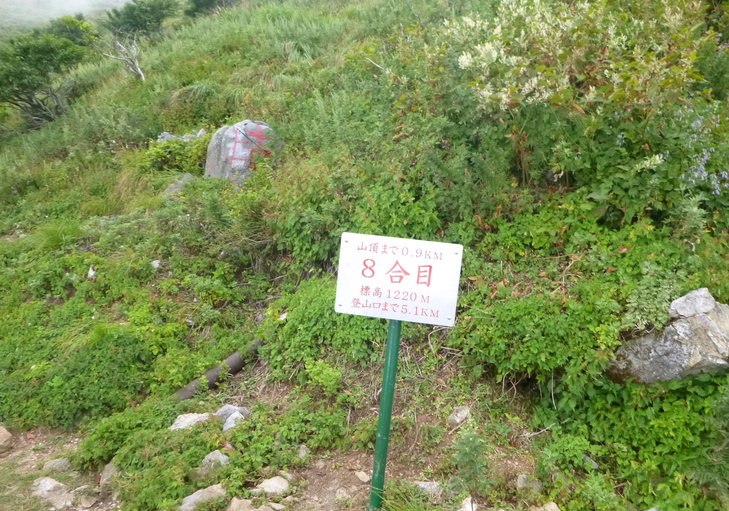 d0170615_12314361.jpg