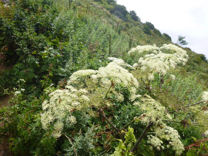 d0170615_1232995.jpg