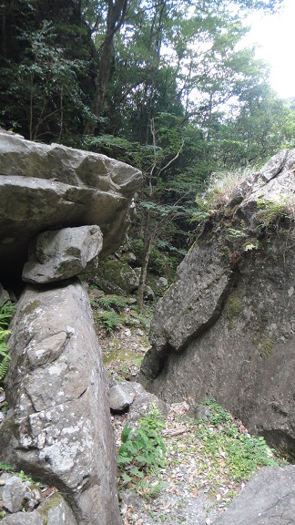 f0000521_8244327.jpg