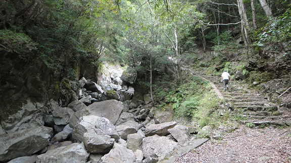 f0000521_824518.jpg