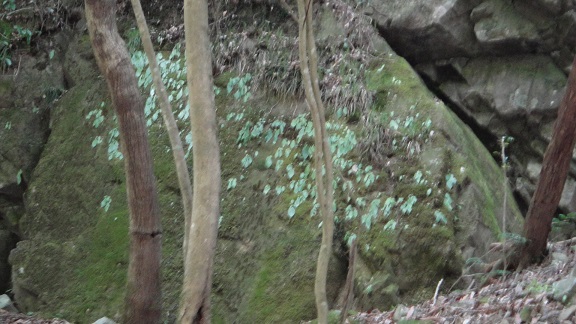 f0000521_8255178.jpg
