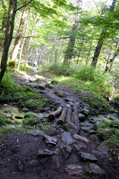 f0040525_16423881.jpg