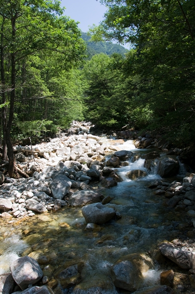 f0040525_1643054.jpg