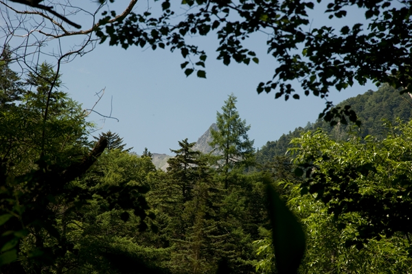 f0040525_16501755.jpg