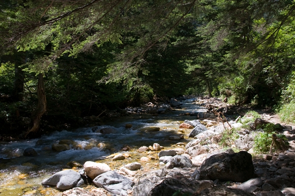 f0040525_1651850.jpg
