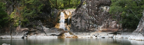 e0033229_20341129.jpg