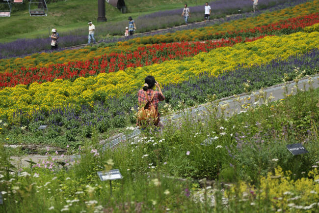 f0017530_2054193.jpg