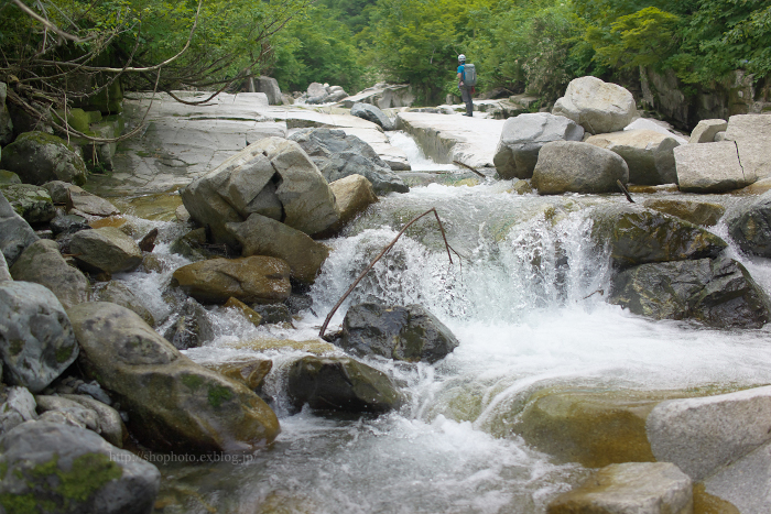 c0189533_1333678.jpg