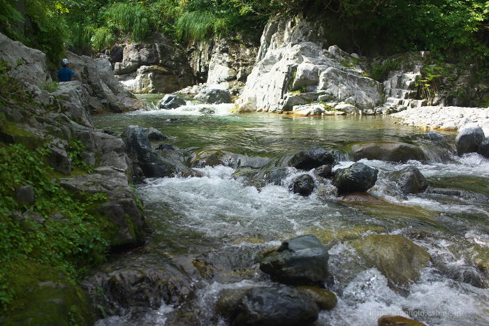 c0189533_155037.jpg