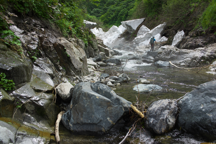 c0189533_7524215.jpg