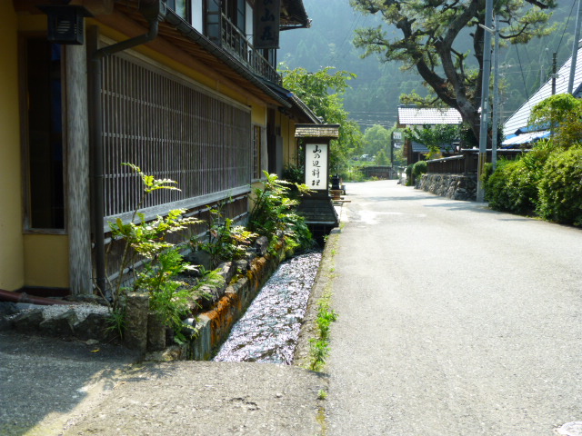 d0106134_4553975.jpg