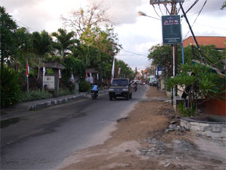 d0163834_4442461.jpg