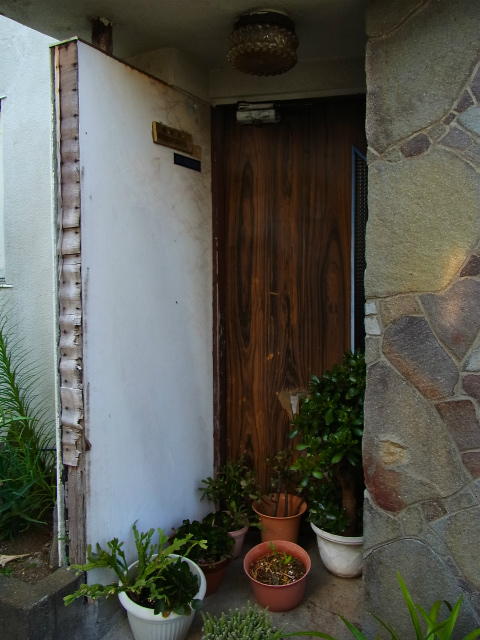 a0087341_752778.jpg