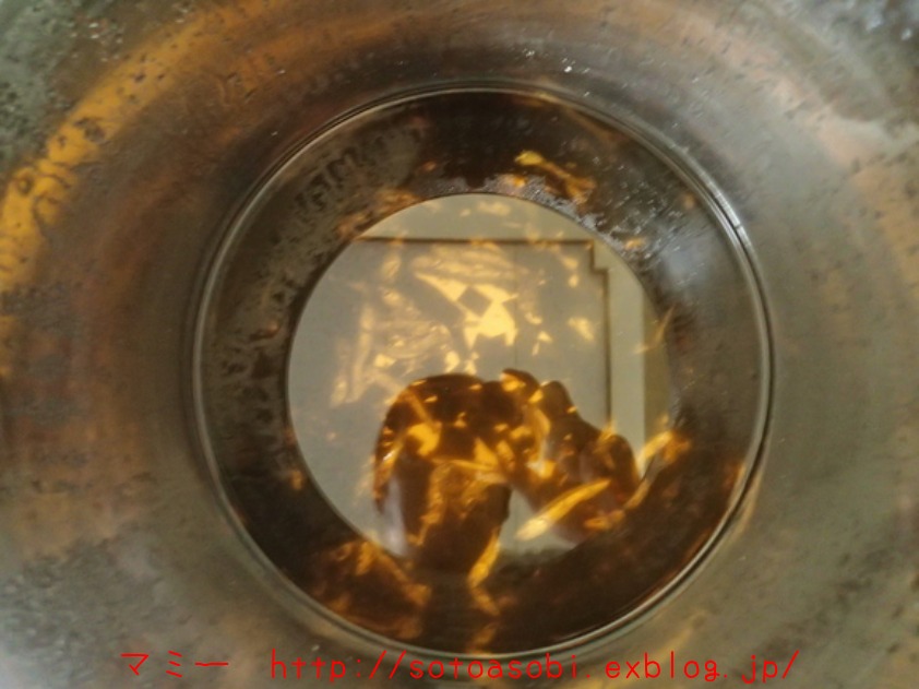 d0105749_15513524.jpg