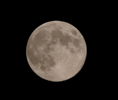 b0173754_1402556.jpg