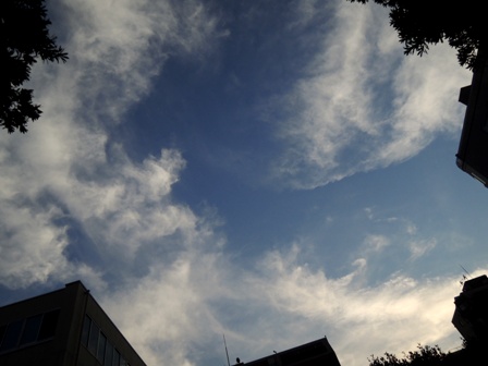b0173754_1465091.jpg