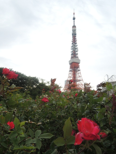 b0173754_1483344.jpg