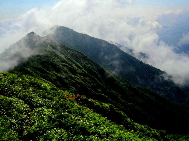 c0119160_152022.jpg