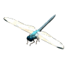 c0119160_1595273.gif