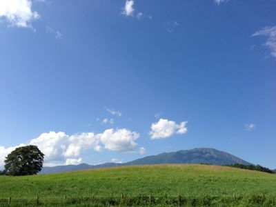 a0038370_20431119.jpg
