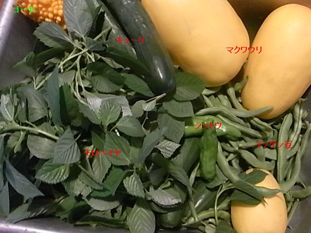 a0146070_6204279.jpg