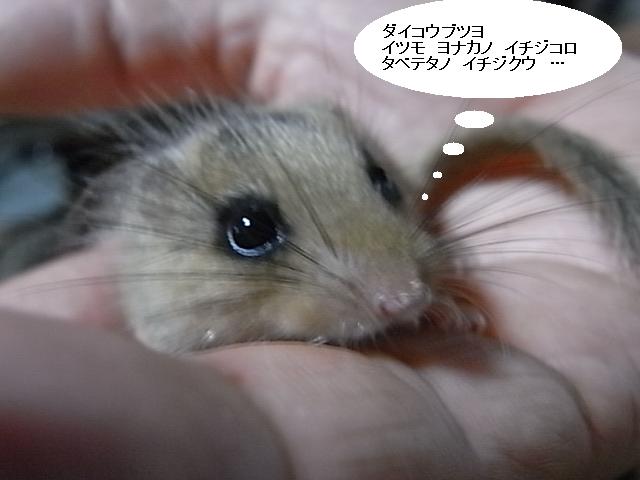 a0146070_712499.jpg