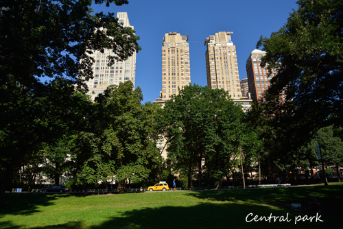 b0243873_17364516.png