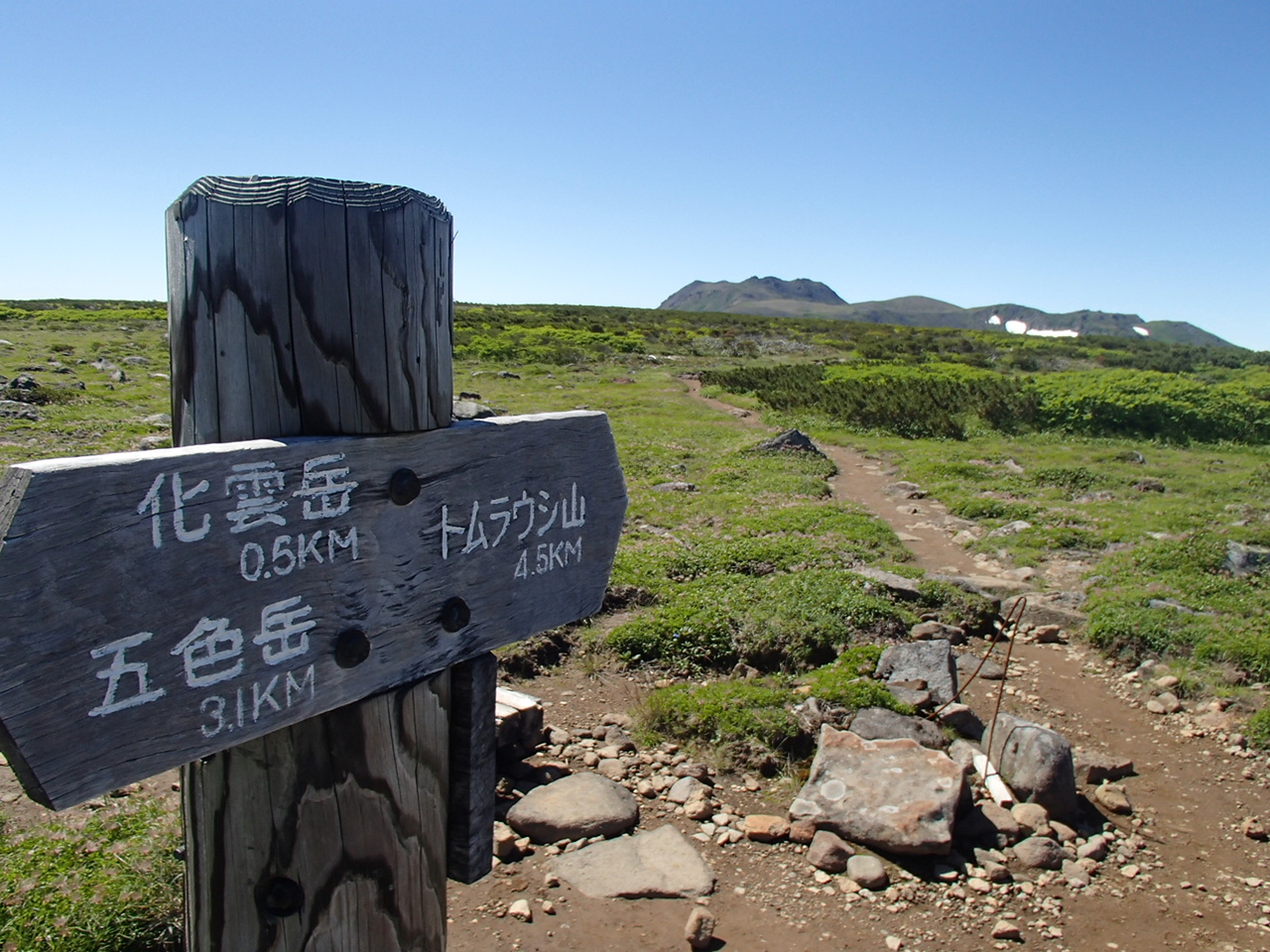 f0130376_9143769.jpg