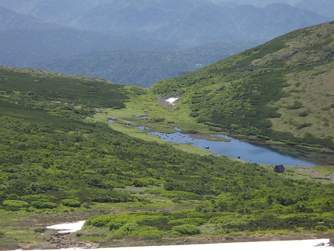 f0130376_9165192.jpg