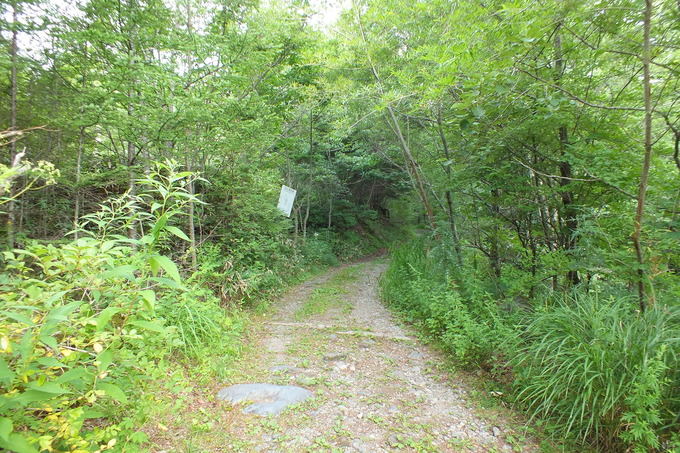 a0040879_16472688.jpg