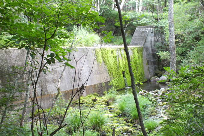 a0040879_1648064.jpg
