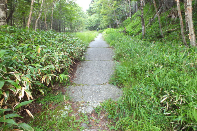 a0040879_16535838.jpg
