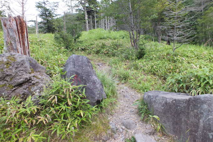 a0040879_1710771.jpg