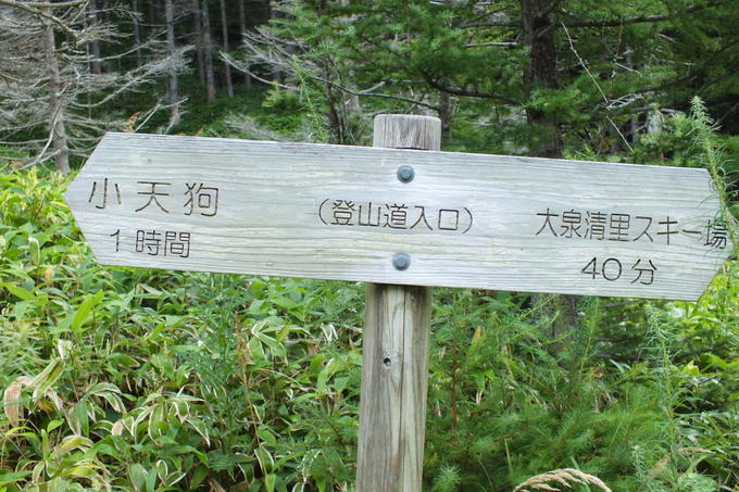 a0040879_1752789.jpg