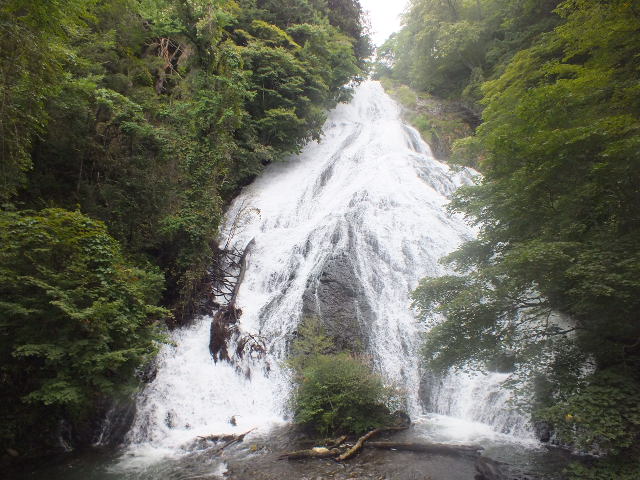 e0145782_17314314.jpg
