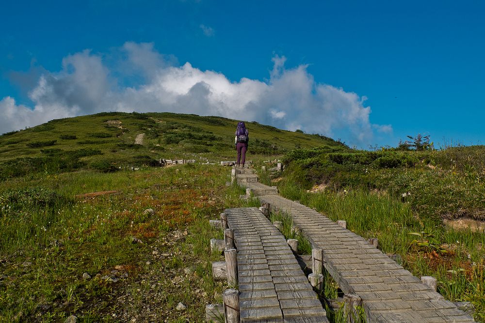 f0234982_15382978.jpg