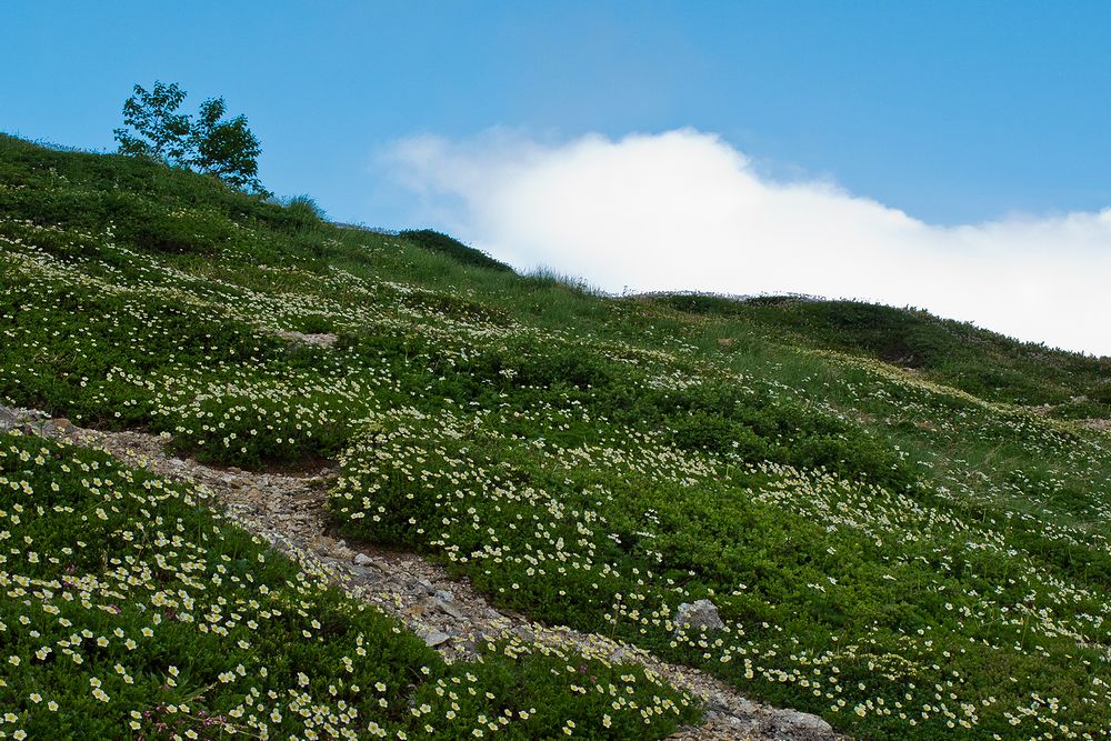 f0234982_15401644.jpg