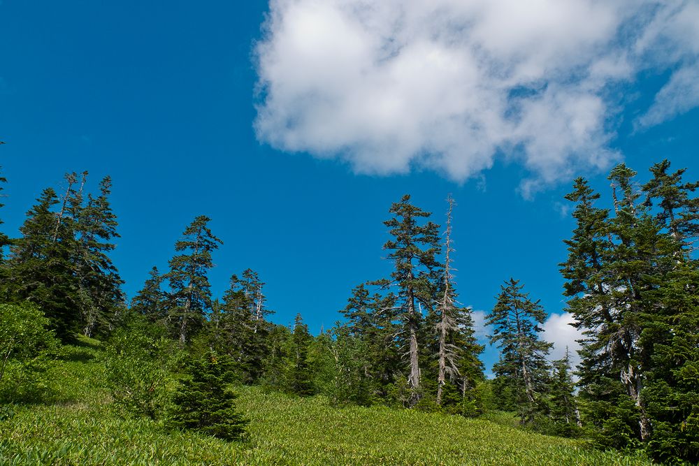 f0234982_15403894.jpg
