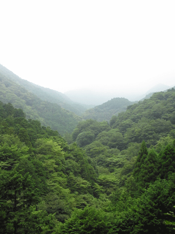 f0110488_1803058.gif
