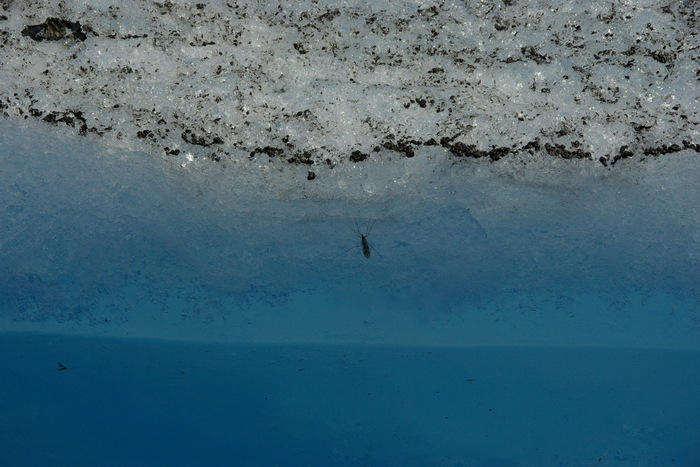 f0268294_2012692.jpg