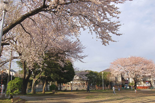 f0108399_1725251.jpg