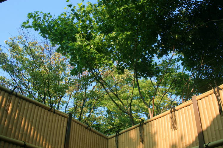 f0031304_8373562.jpg