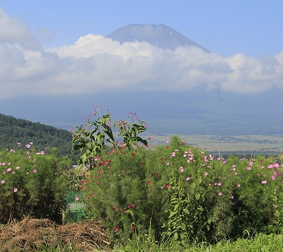 a0188405_1244020.jpg
