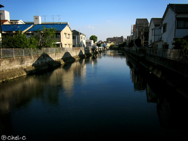a0154706_12254522.jpg