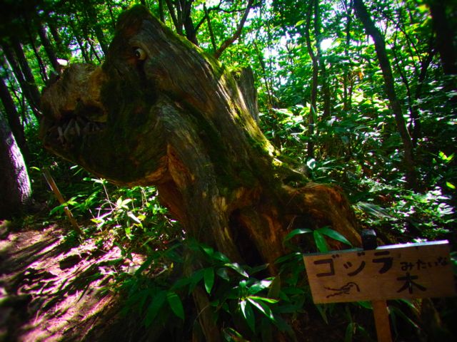 b0183911_22421640.jpg