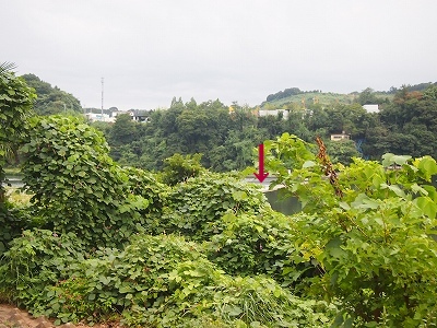 b0207912_16221899.jpg