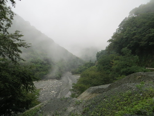 b0121015_14254527.jpg