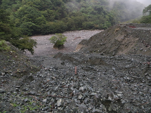b0121015_14264139.jpg