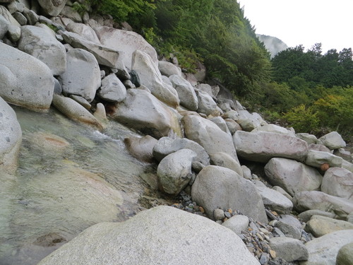 b0121015_14401166.jpg
